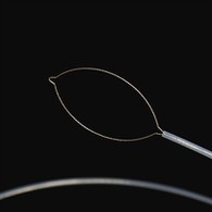 I-Net Type Aliver Arter Perceps